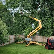 Trusted Atascocita, TX  Tree Services Experts