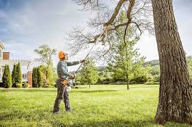 Best Tree Planting Services  in Atascocita, TX